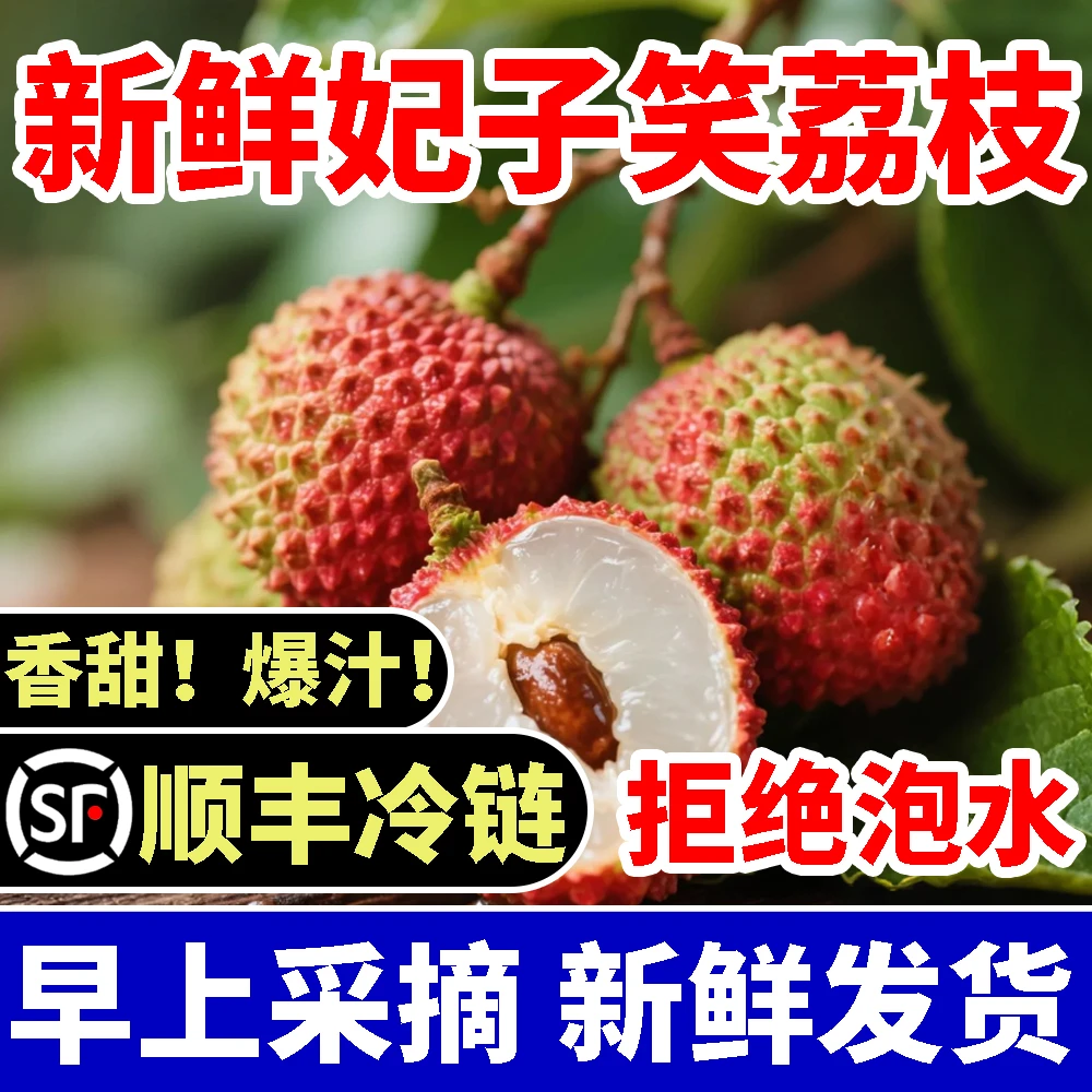 广东高州妃子笑荔枝老树果现摘清甜肉厚核小【广东省内顺丰冷链】