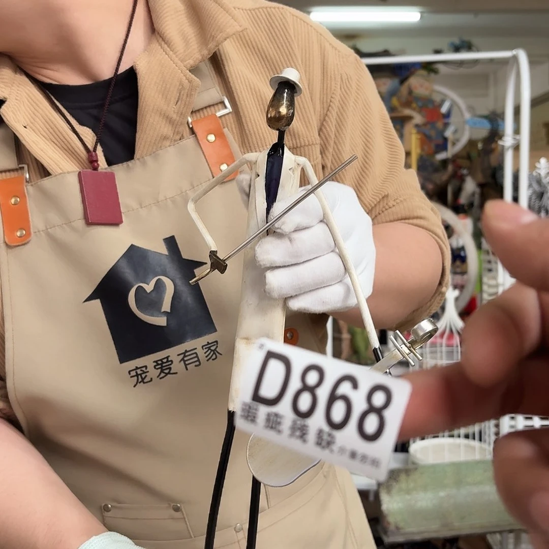 核桃木/黑胡桃（胡桃木）