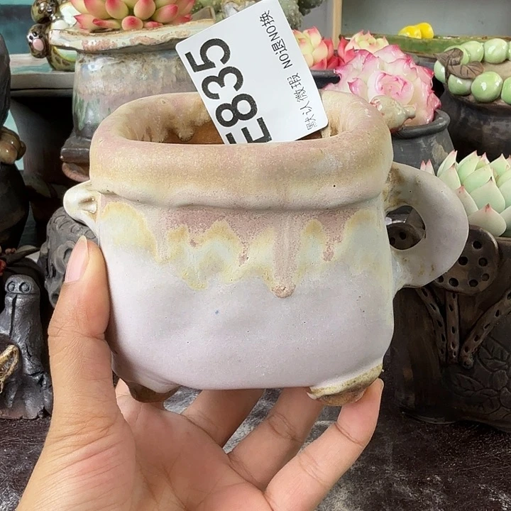 重庆小燕子欢迎大家835