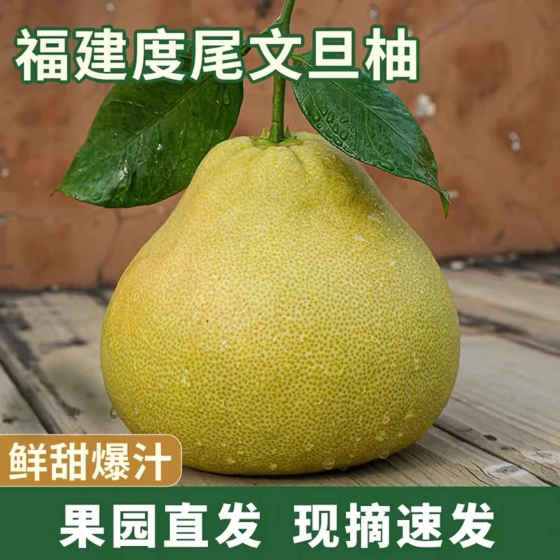 福建仙游度尾文旦柚时令应季新鲜水果孕妇老人小孩水果酸甜多汁