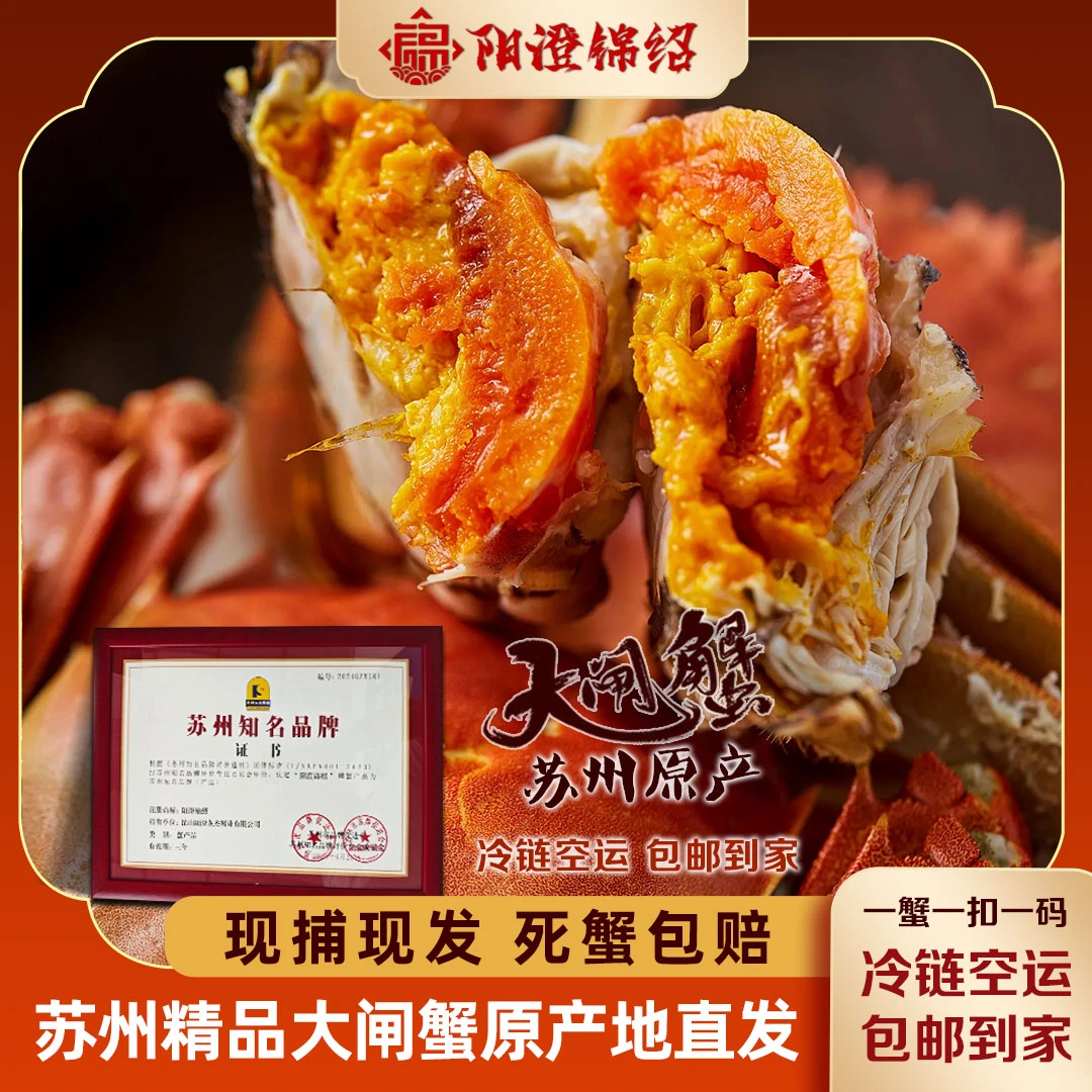 【活蟹】苏州大闸蟹公4.1-3.8两*4只+母3.1-2.8两*4只  8只+2只螃蟹