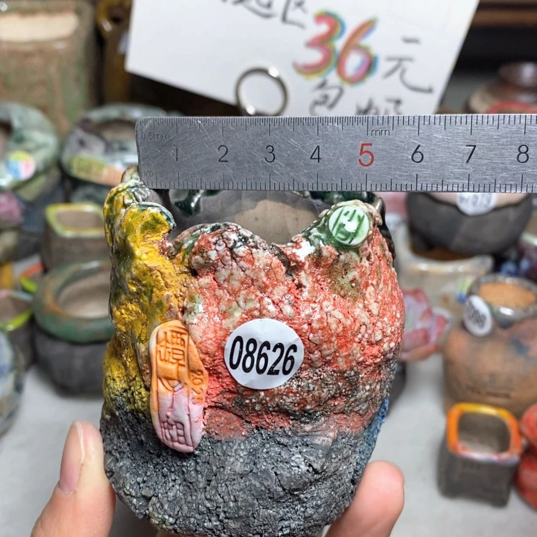 花盆拍1送一个小礼物