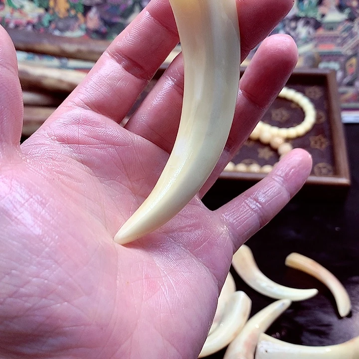 驼骨手串/手链野佩奇