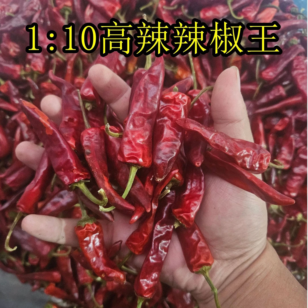 铭味源1:10特辣福建辣椒王 香辣型鸭货卤味古田辣椒王5斤箱装