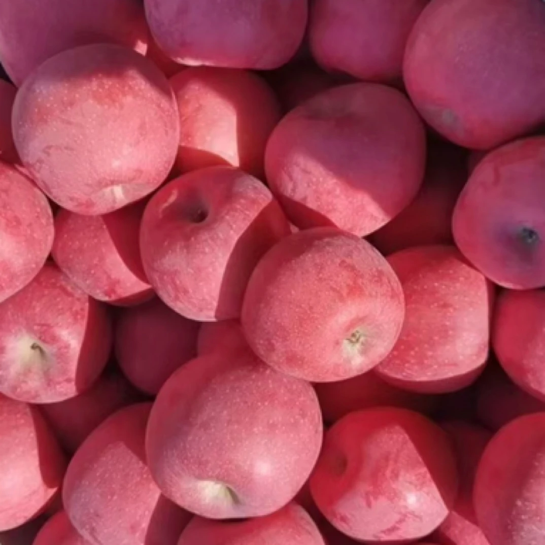 粉红佳人富士苹果5斤红富士苹果山东省