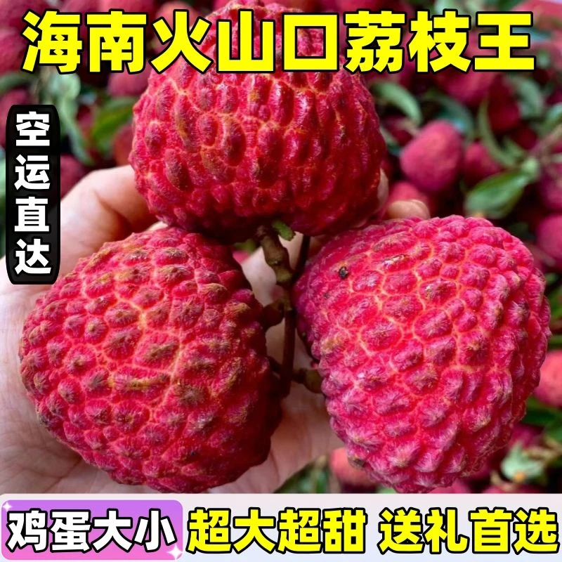 海南荔枝王超大新鲜【顺丰空运】2025头茬礼盒装火山荔枝王新鲜采摘