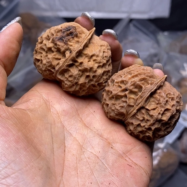 核桃云南野生铁核桃123号43mm