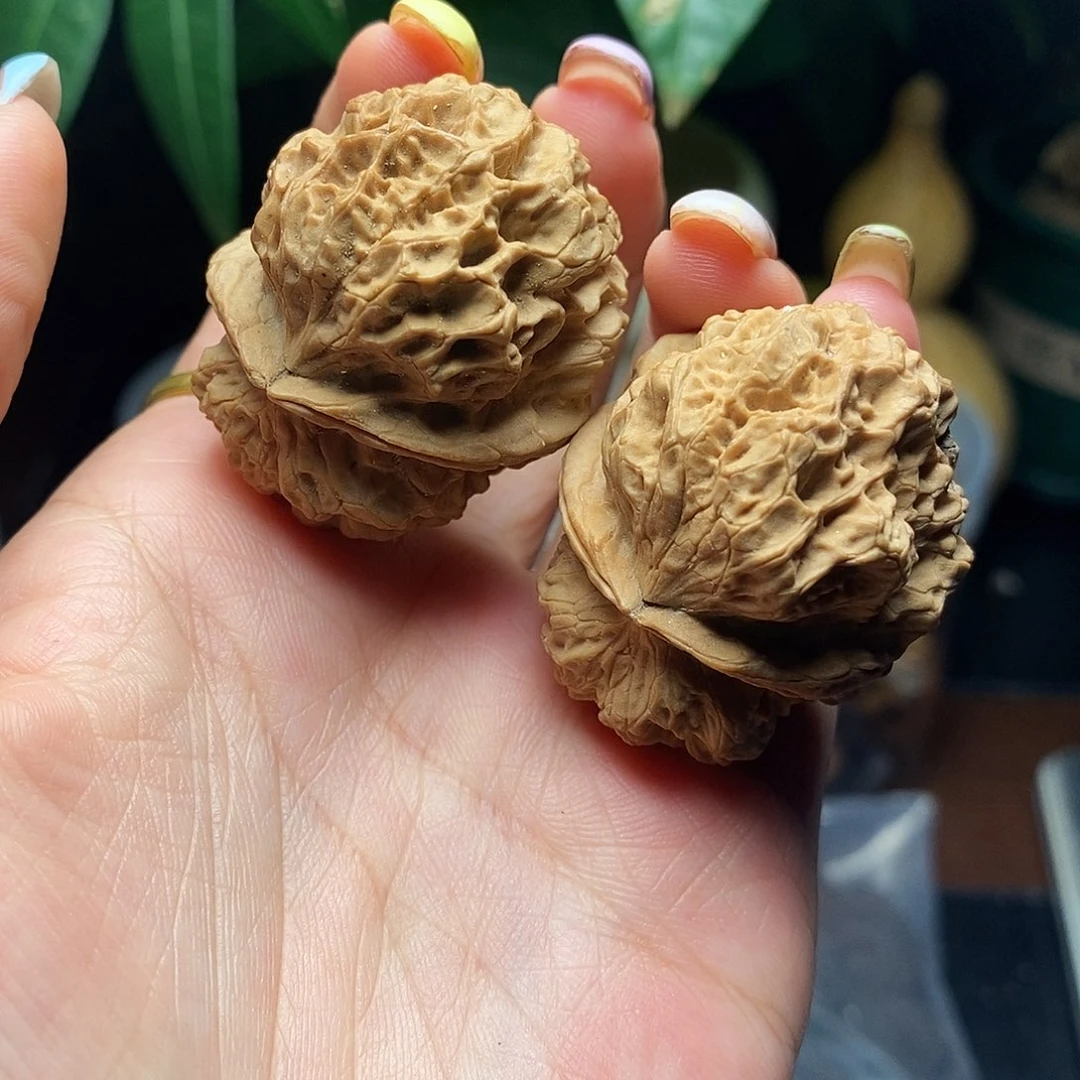 文玩核桃把件上古仓龙39mm