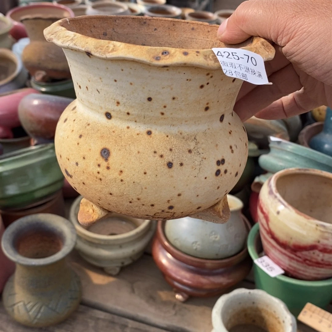 安*70号多肉盆一个呀