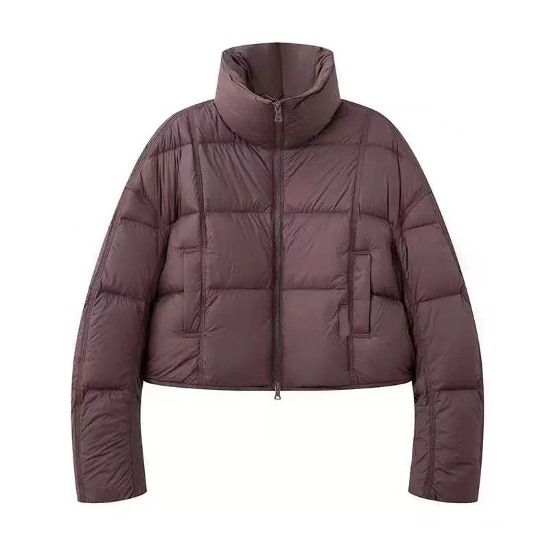 艾诺丝商场同款女装2025冬季新款时尚显瘦羽绒服外套