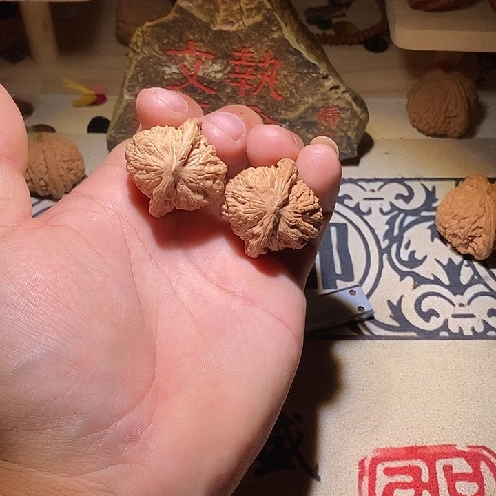 全品没修小楼子一对
