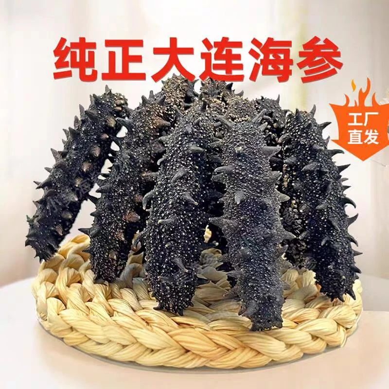 大连淡干海参纯干货干参高泡发辽刺参非即食干海参500g一斤装