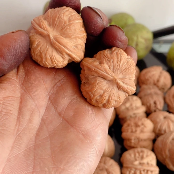 文玩核桃把件刘*核桃