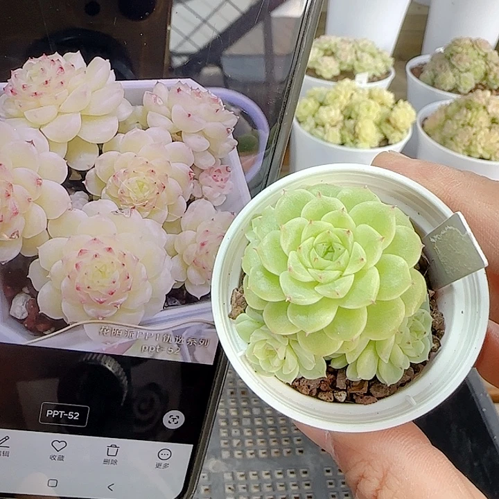 1117-152（ppt-52）优选