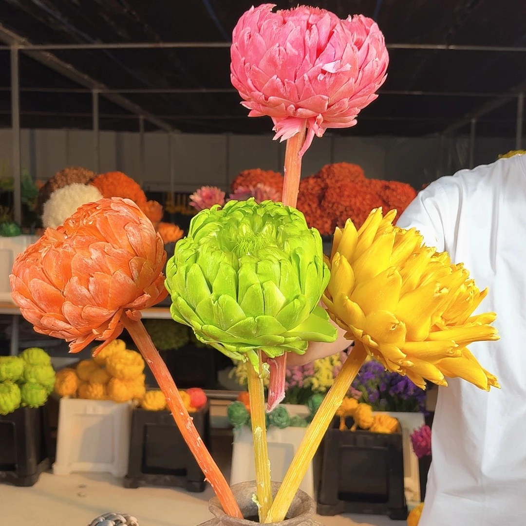 完全开放量拍-混色四枝