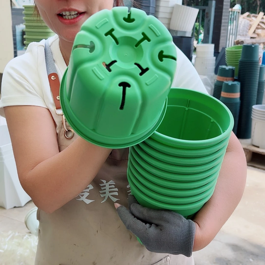 瑕疵南瓜1#草绿色10个无托