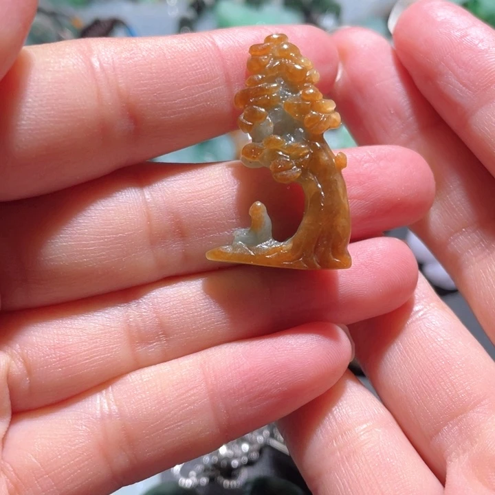 【闪购商品】翡翠颈饰未镶嵌天然翡翠
