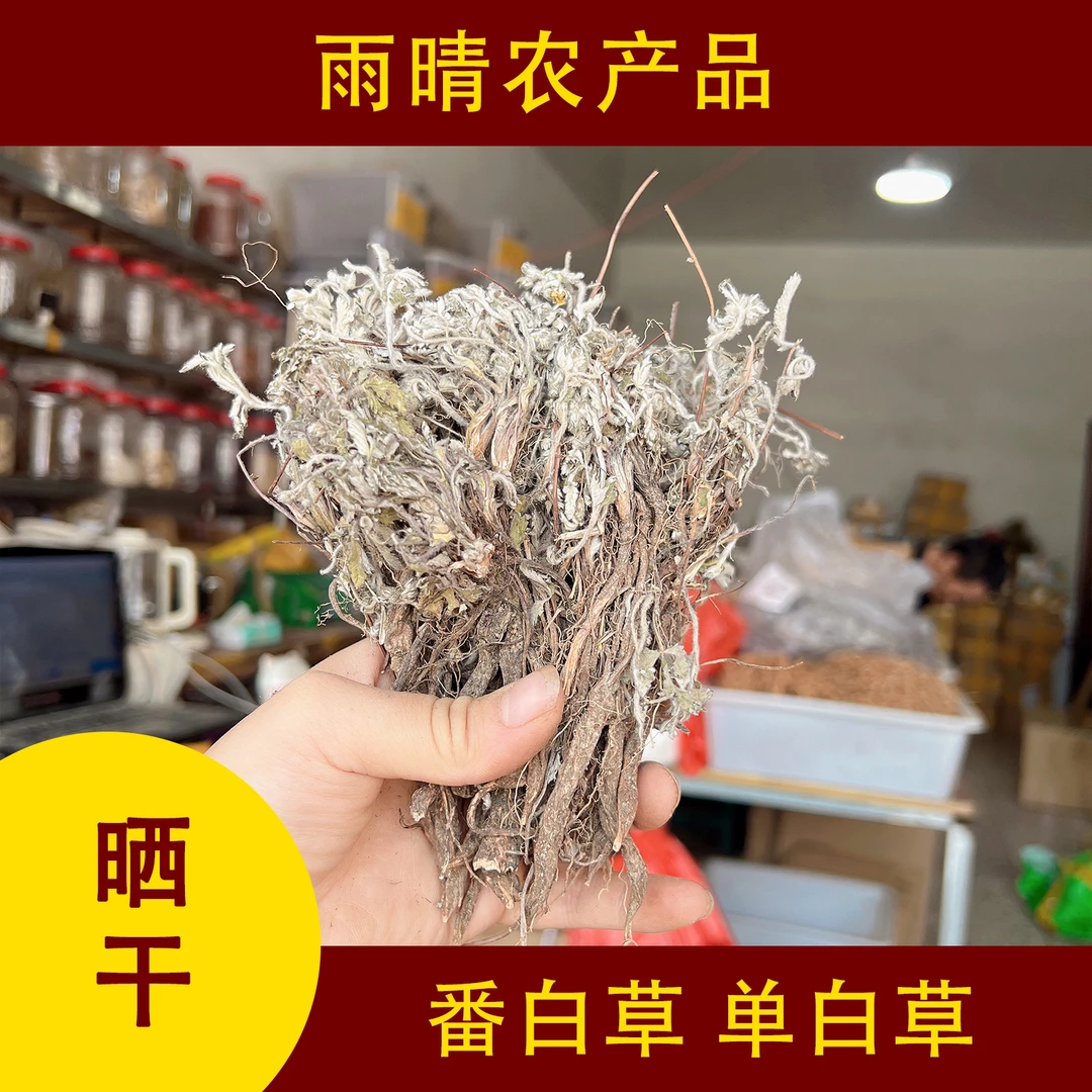 整颗翻白草 番白草 整颗有根的 晒干的农产品