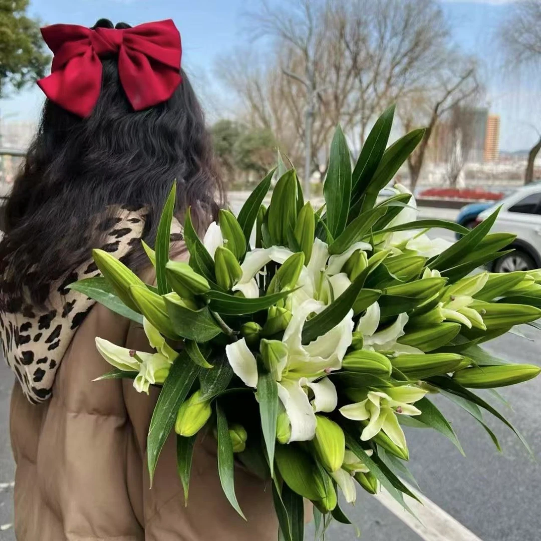 【家居鲜花】3支多头香水白百合/9-15头/生活鲜花装饰办公室瓶插花家庭生活鲜花摆放