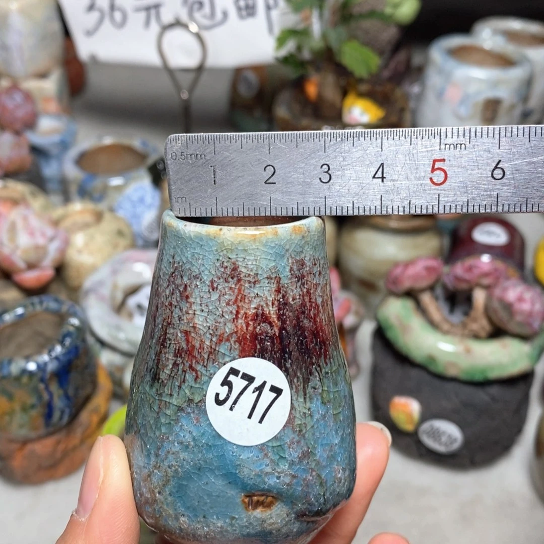 花盆拍5送一个小礼物