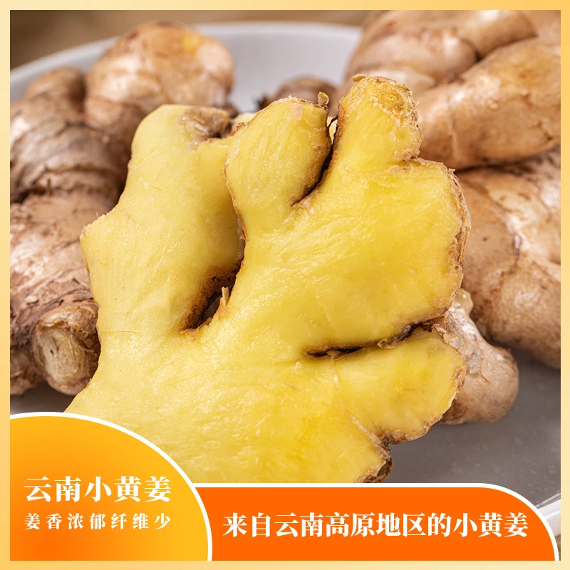 云南高山小黄姜新鲜现挖老姜香味浓郁辛辣够味可作调料