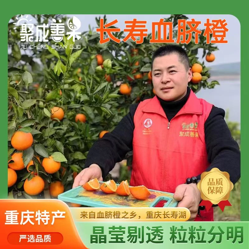 聚成善果血脐橙长寿湖岛血脐橙纯甜微酸血橙