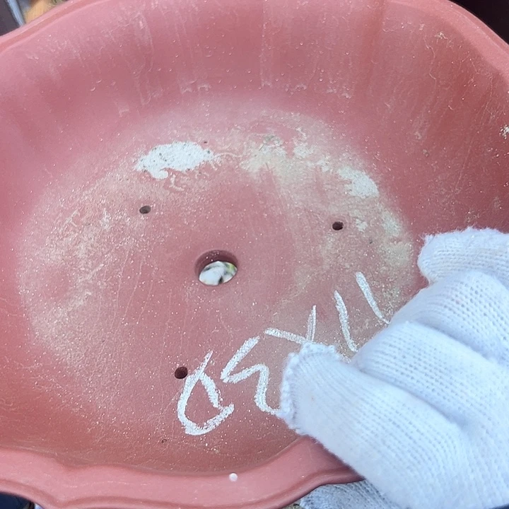 紫砂碗盆宣传宣传瑕疵