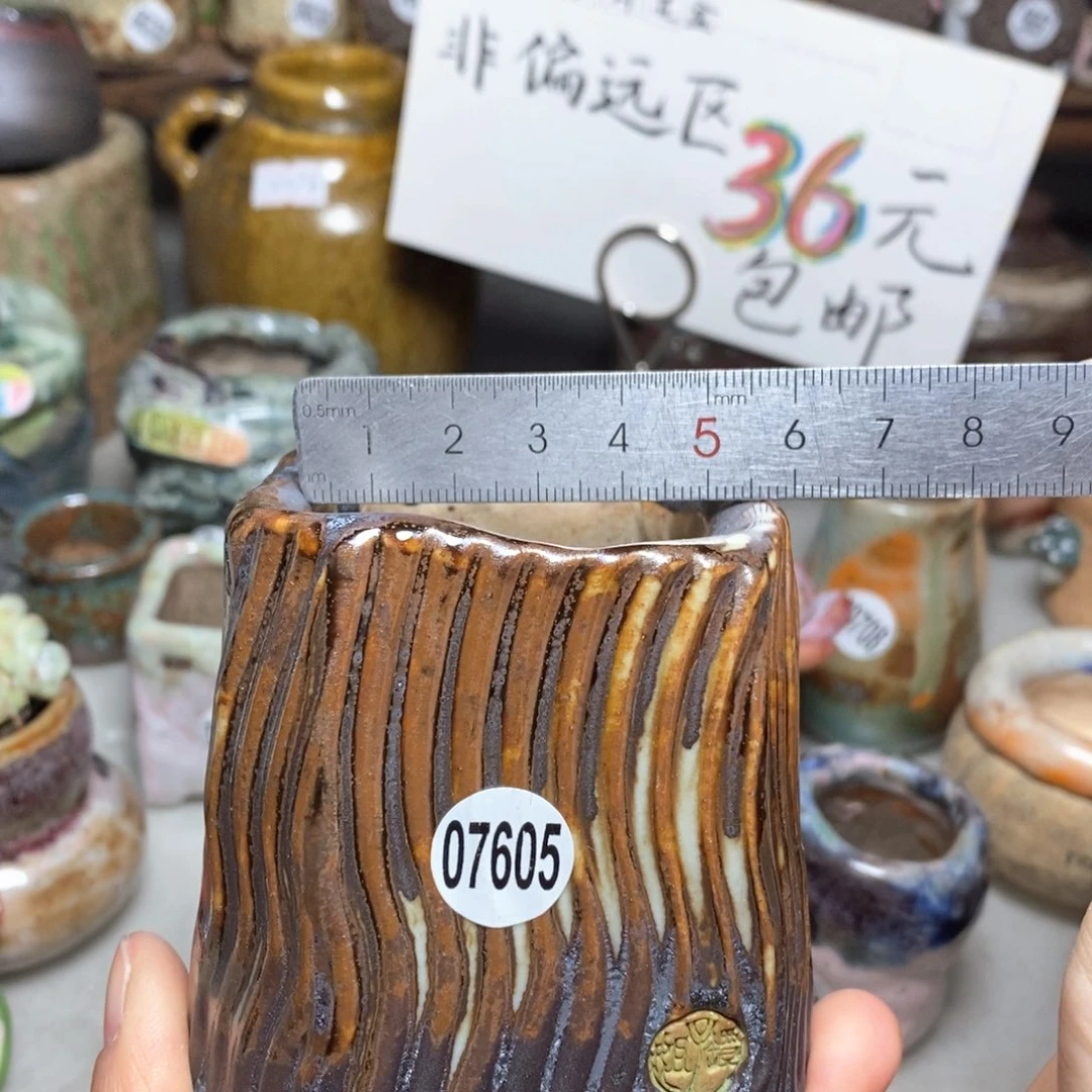 花盆拍3送一个小礼物