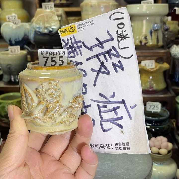 狼盆内口径4高度6