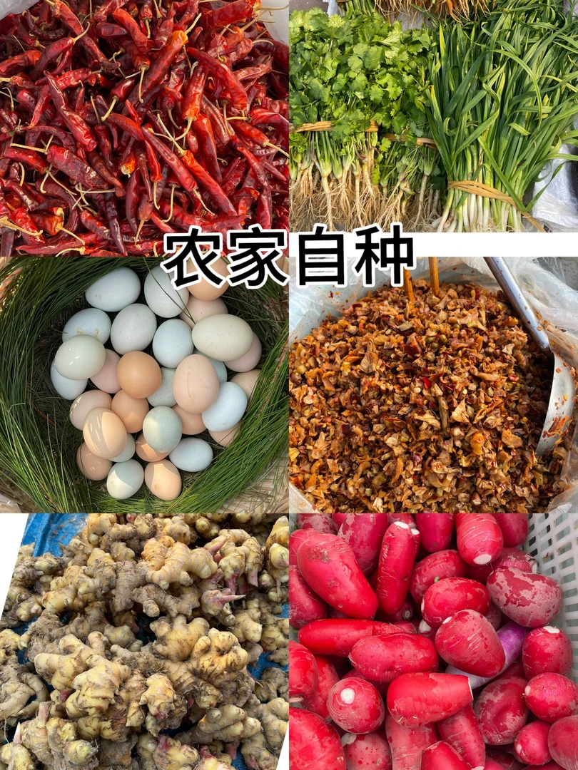 高山红萝卜 农家自种