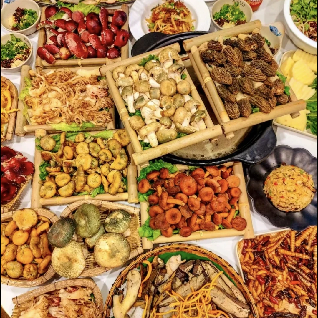 新鲜云南山珍菌菇组合含牛肝菌菌子鸡枞菌青头等煲汤美味