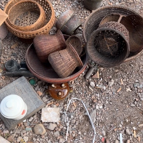 核桃木/黑胡桃（胡桃木）刺*