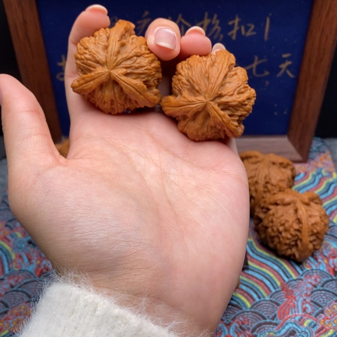 【闪购商品】独*白狮