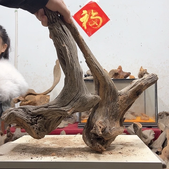 柏木阿****装我们的生活也