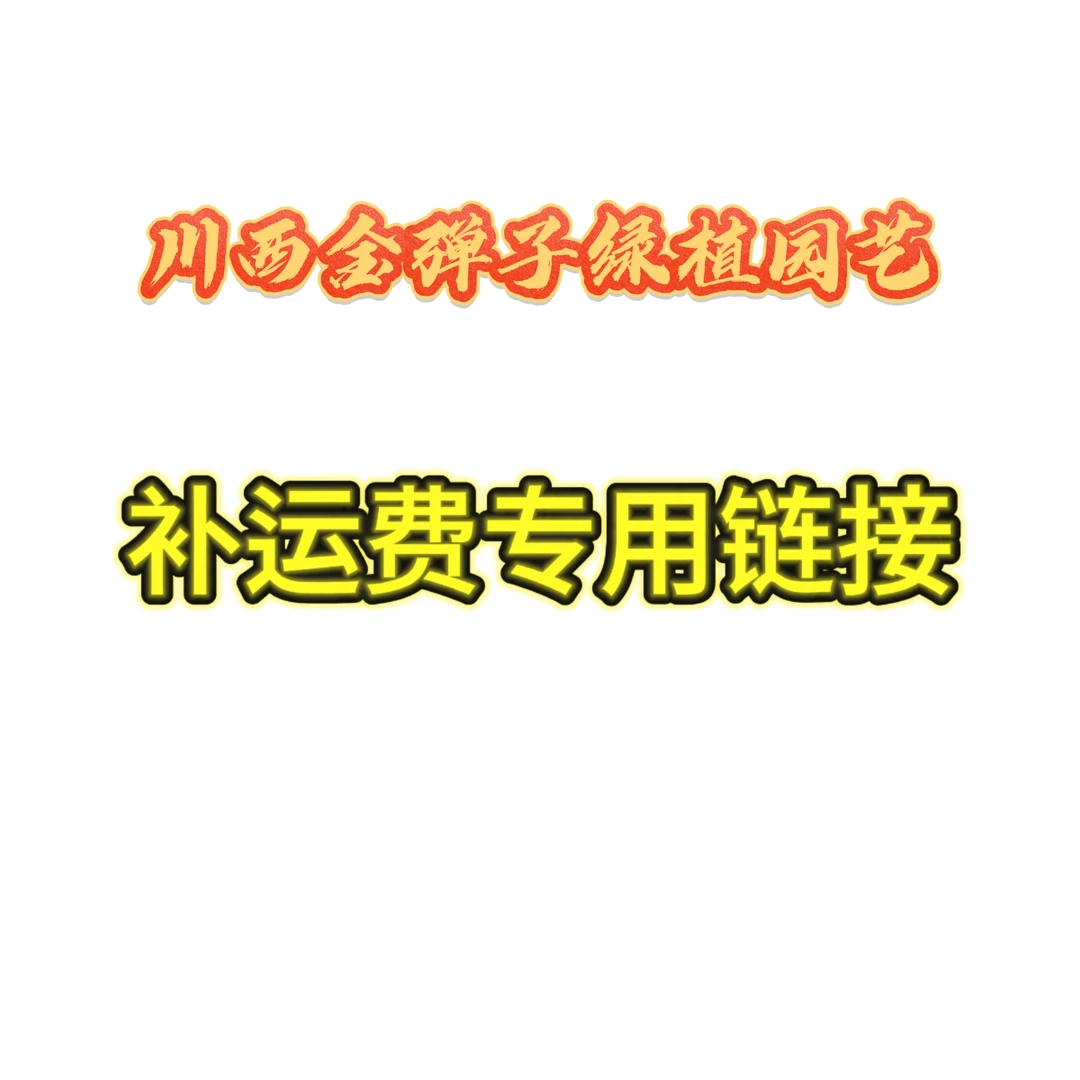 补运费专用链接，川西灌木金弹子盆景