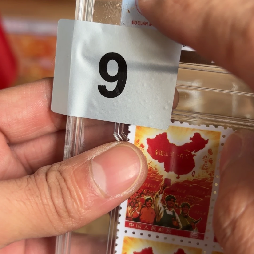 玉534435434544554555