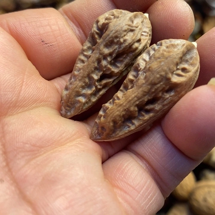 吊坠桃核东北特产7