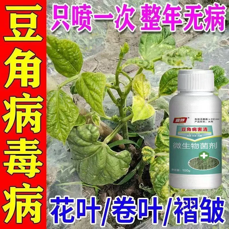 豆角毒病专用花叶卷叶黄叶病豆角病毒病专用药豆角病专用