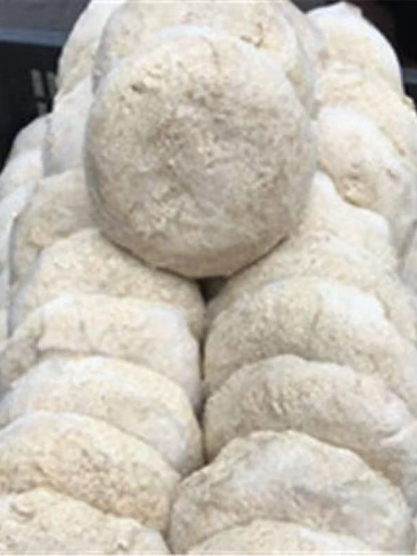 湖北特色【豆渣粑】