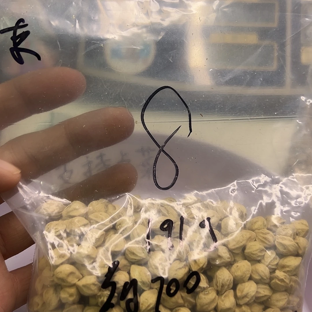 来***…柏香籽/百香籽吊坠