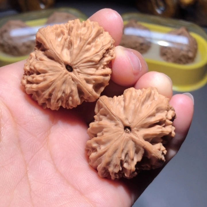 文玩核桃把件33龙眼