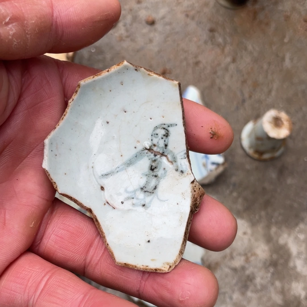 瓷片瓷片瓷片瓷片标本