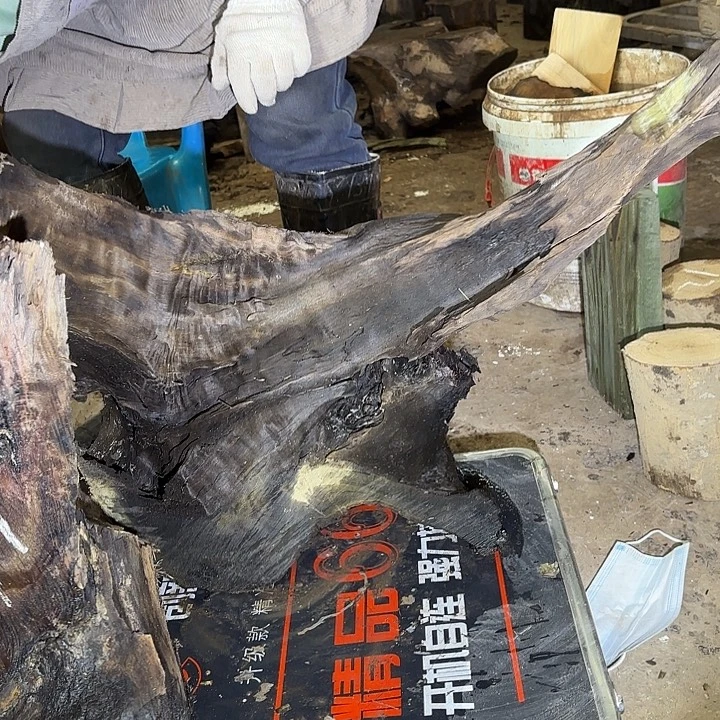 新***统金丝楠金丝楠阴沉木