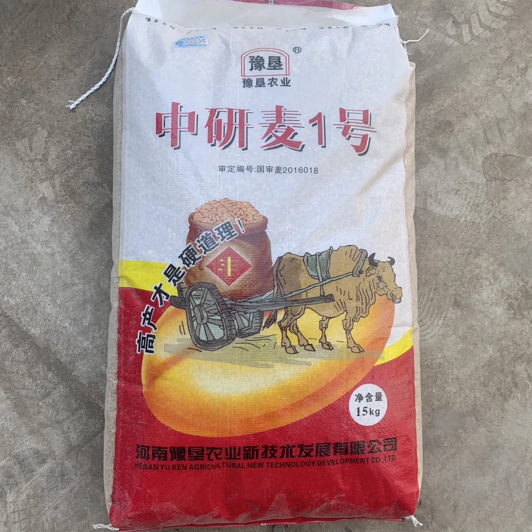 抗倒抗冻高产小麦种子。（仅限河南区域购买，其它区域勿拍）