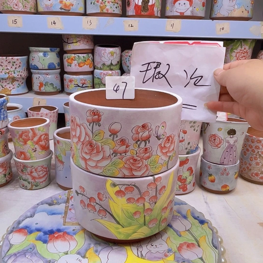 一物一拍所见所得多肉花盆47