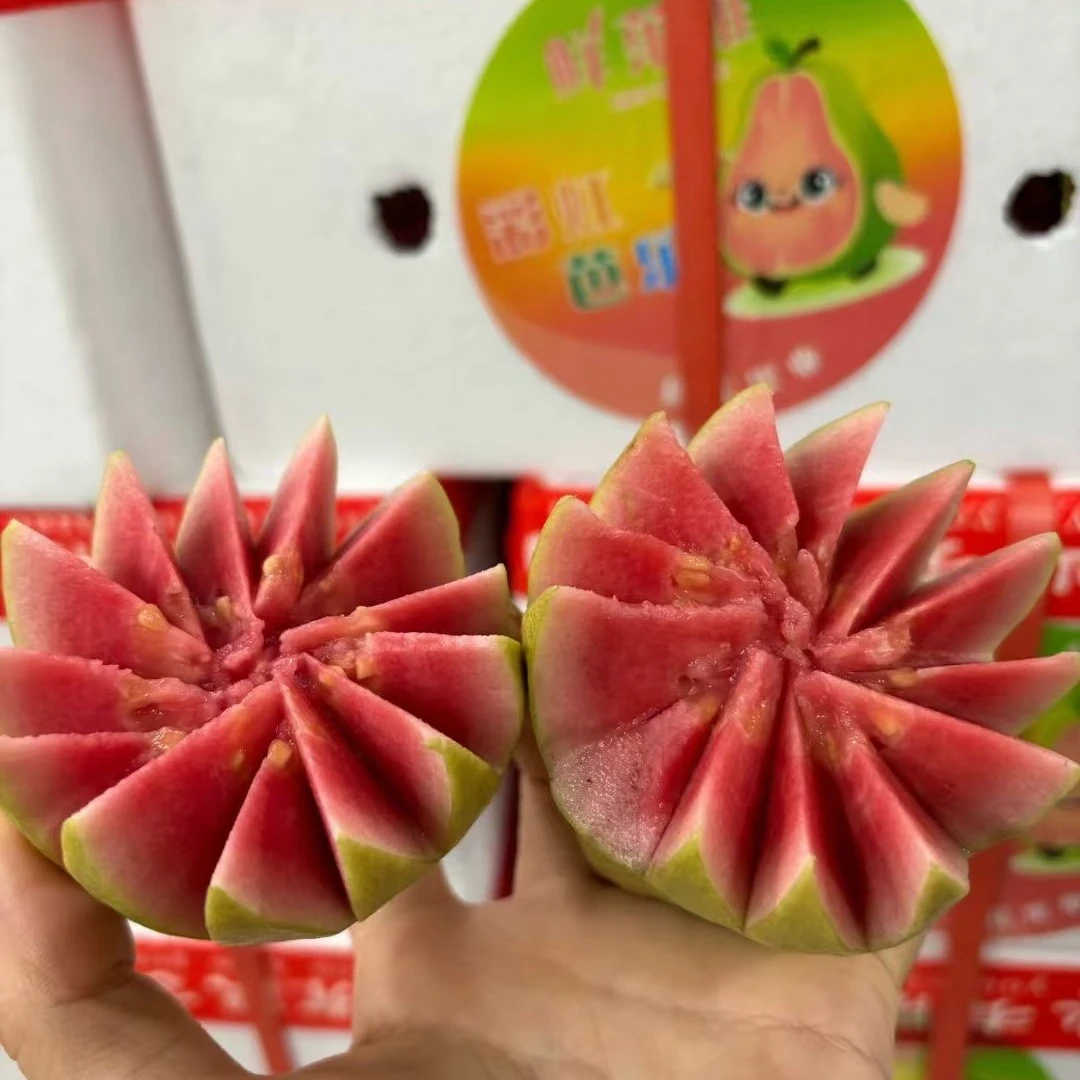 鲜果维彩虹奶油芭乐黑龙江省