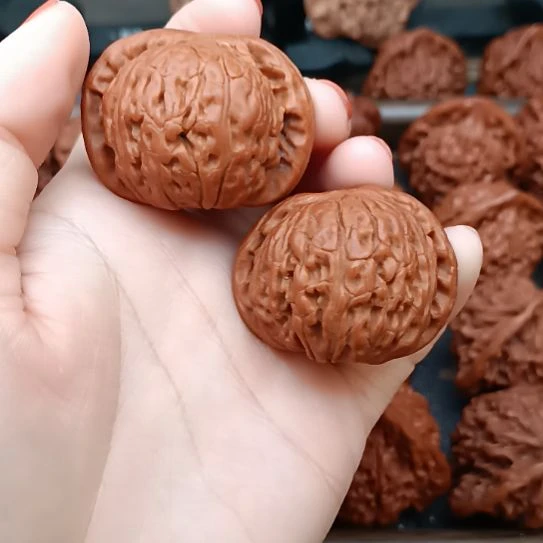 核桃白狮子头狮子头