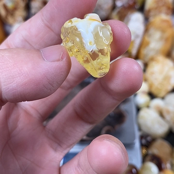 裸石琥珀未镶嵌我