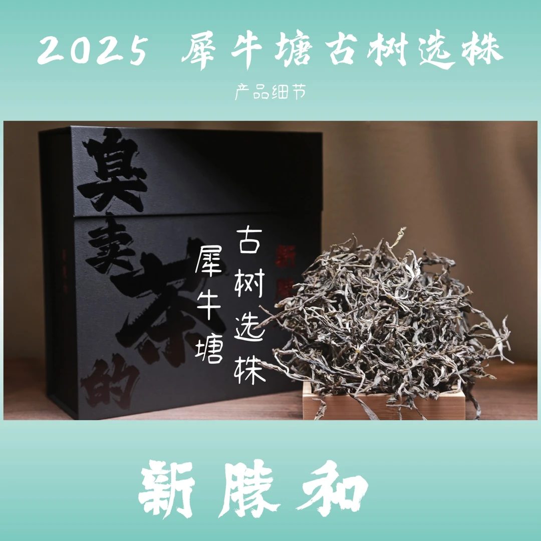 【2025犀牛塘古树选株纯料 】春茶  普洱茶  长期储存 （生茶）散茶