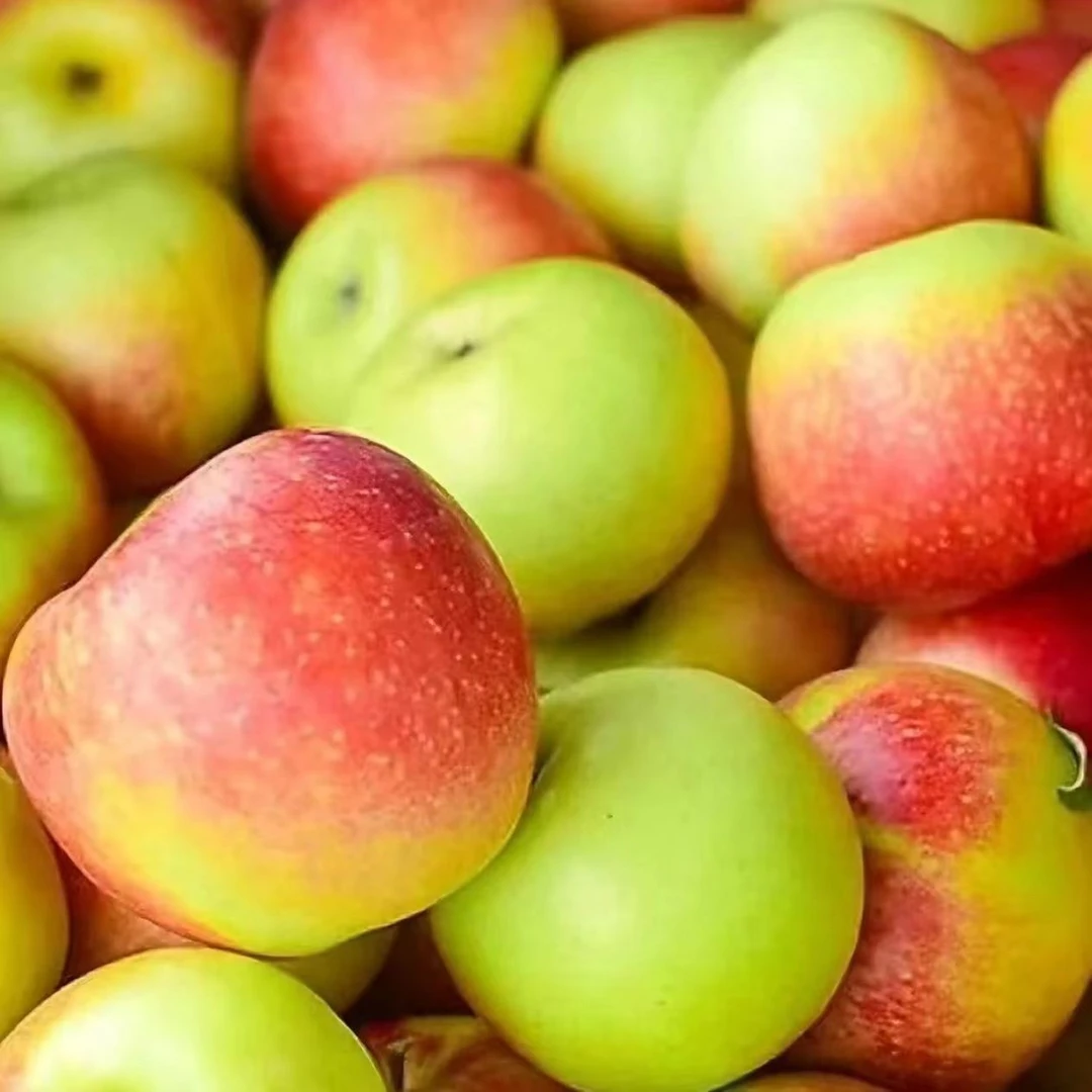 河南现摘新鲜苹果当季时令新鲜水果青苹果孕妇解馋水果